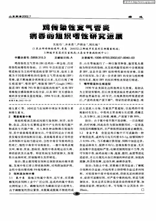 鸡传染性支气管炎病毒的组织嗜性研究进展
