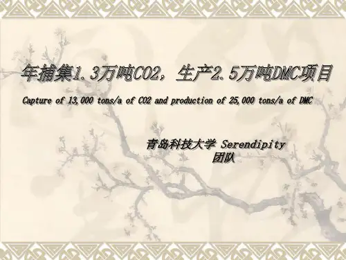 12年化工设计大赛答辩PPT--青岛科技大学-