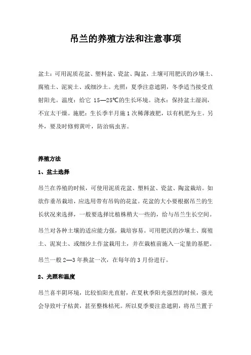 吊兰的养殖方法和注意事项 2