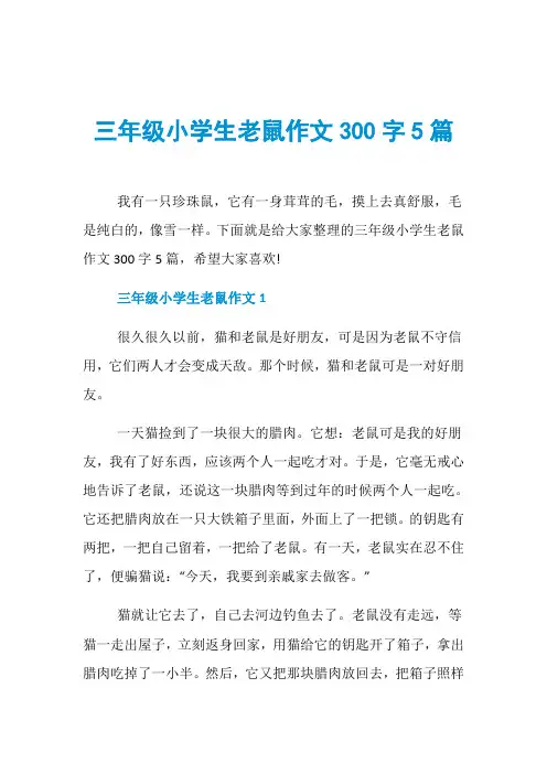 三年级小学生老鼠作文300字5篇