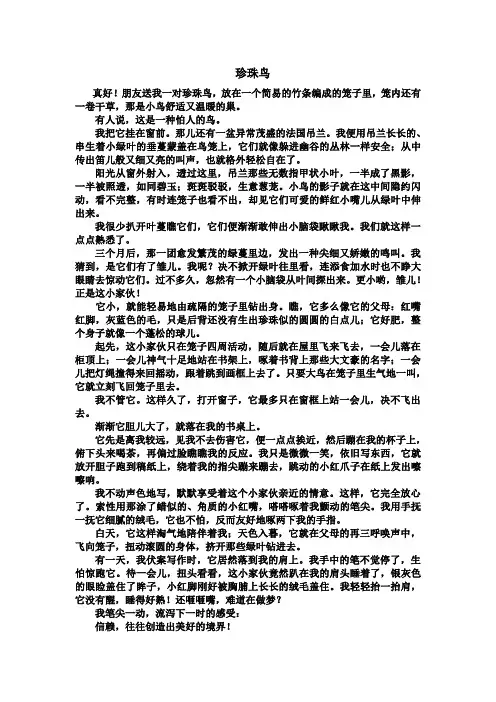 珍珠鸟课文