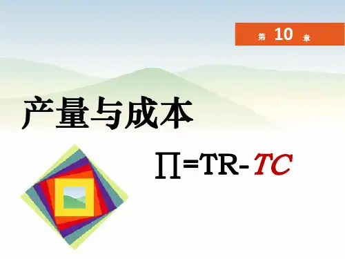 第10章 产量与成本微观经济学课件
