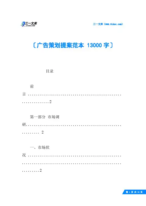 广告策划提案范本 13000字