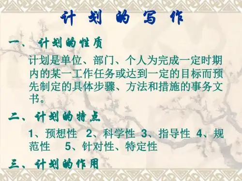 计划的写作