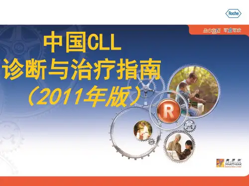 CLL指南
