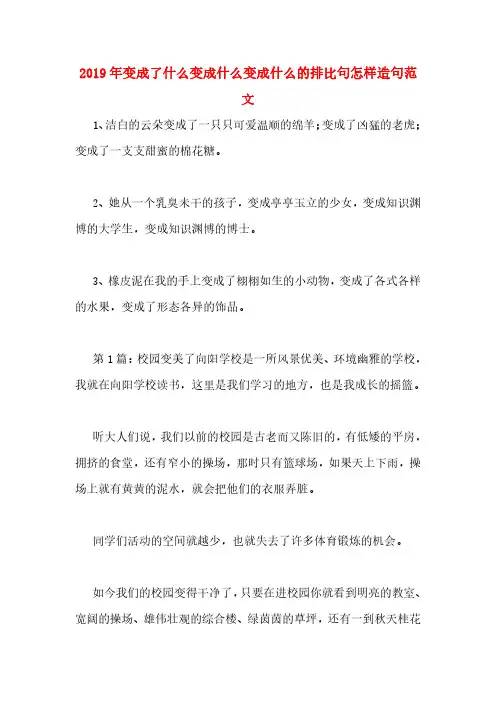 2019年变成了什么变成什么变成什么的排比句怎样造句范文