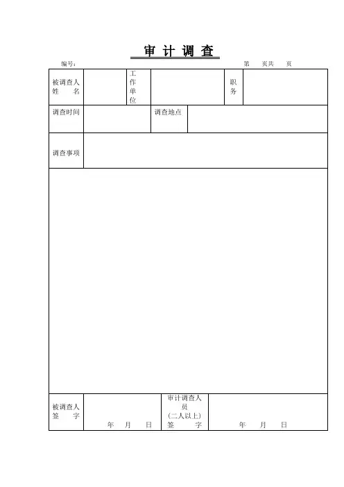 审 计 调 查(审计表格)