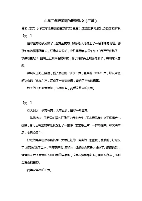 小学二年级美丽的田野作文(三篇)