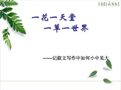 记叙文中如何以小见大共25页