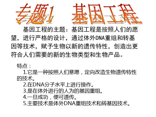 人教版高中生物选修三课件:1.1 基因工程 (共15张PPT)
