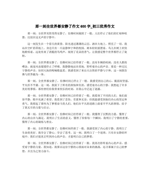 那一刻全世界都安静了作文600字_初三优秀作文