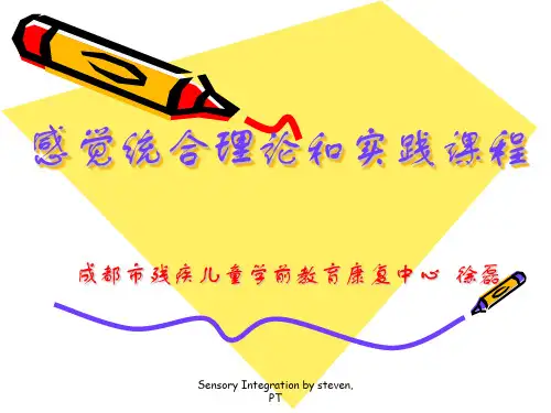 感觉统合理论和实践课程