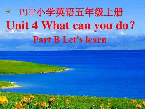 What can you do 课件