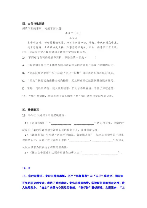 古诗词赏析王安石《南乡子》阅读练习及答案