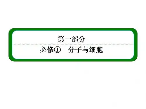 2014届高三生物一轮复习专题课件：必修一 1-4 核酸、糖类和脂质