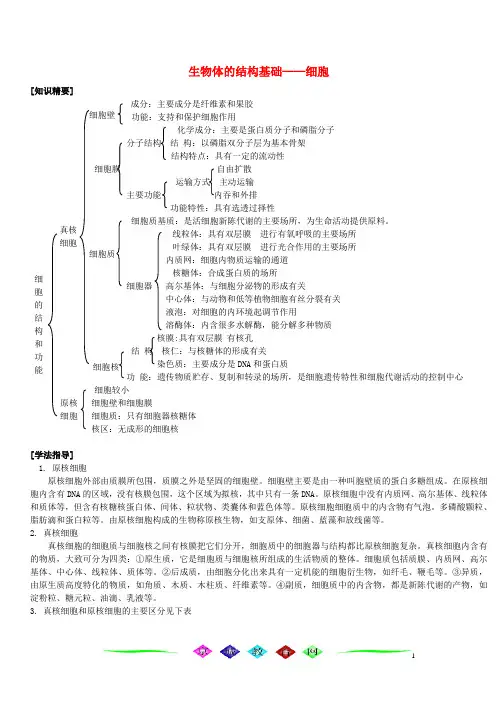 生物体的结构基础——细胞
