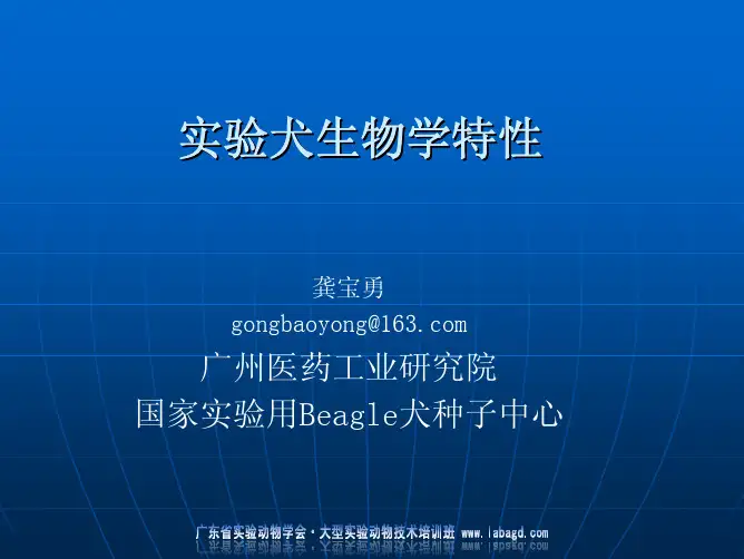 实验犬生物学特性