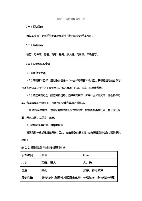实验一 杨树切枝杂交技术