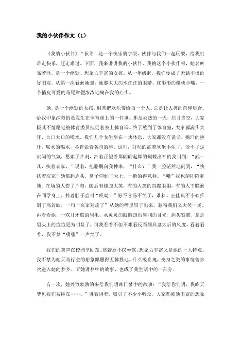 我的小伙伴作文 2