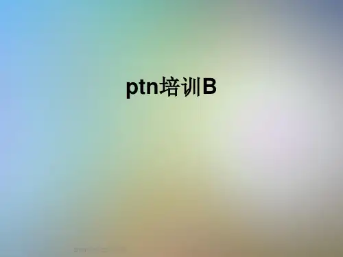 ptn培训B