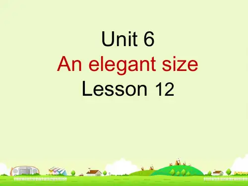新概念青少版2AUnit6 Lesson12