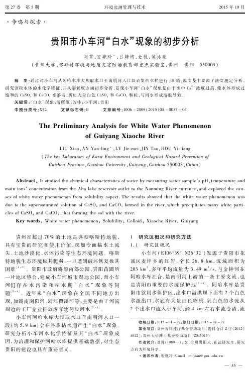 贵阳市小车河“白水”现象的初步分析