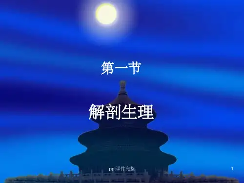 阑尾解剖生理