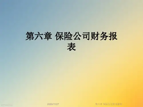 第六章 保险公司财务报表