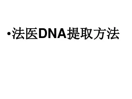 法医DNA提取方法