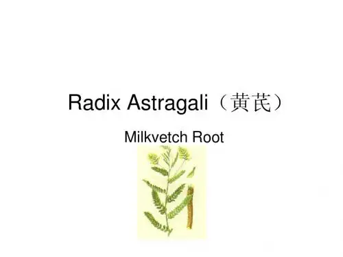 专业英语之黄芪丹参六味地黄丸