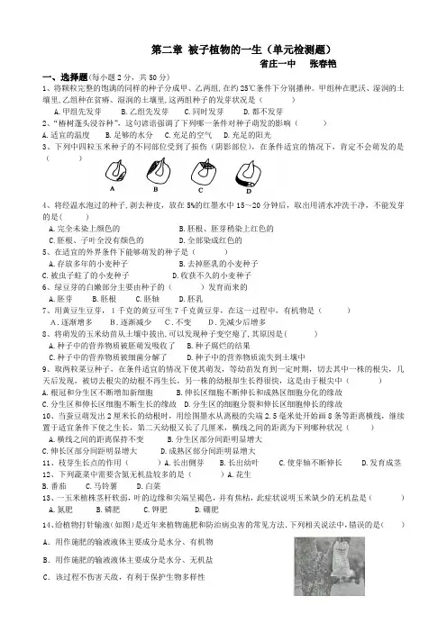 被子植物一生检测题