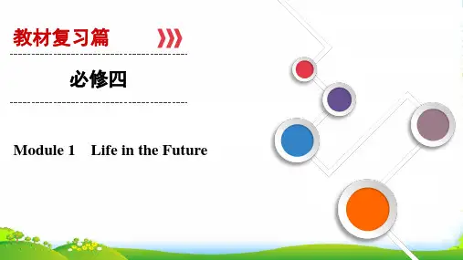 大一轮高考总复习英语(外研版)课件：必修4+Module+1