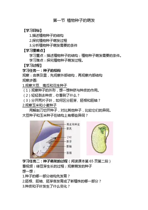 第一节植物种子的萌发导学案