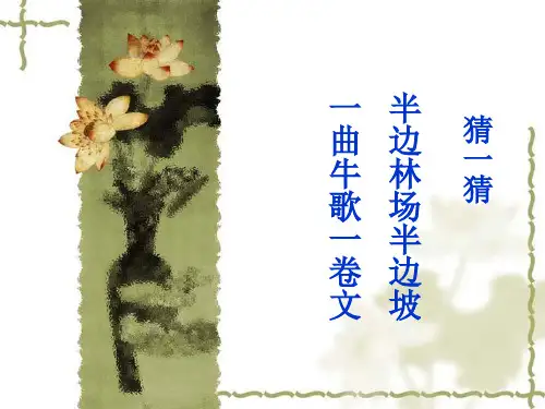 阿房宫赋上课实用ppt课件