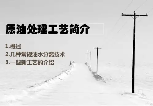 原油处理工艺简介