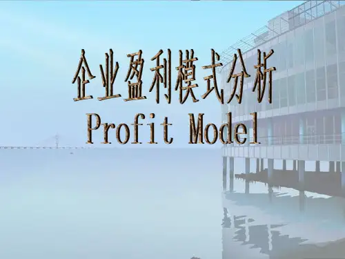 企业盈利模式分析