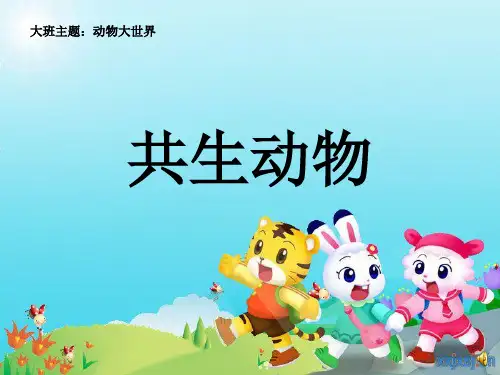《共生动物》—幼儿园大班主题课:动物大世界
