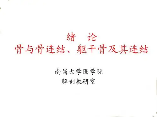 01绪论,骨与骨连结,躯干骨及其连结