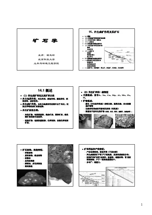 矿石学5(BW)