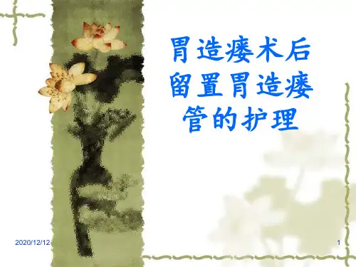 胃造瘘术后留置胃造瘘管的护理 ppt课件