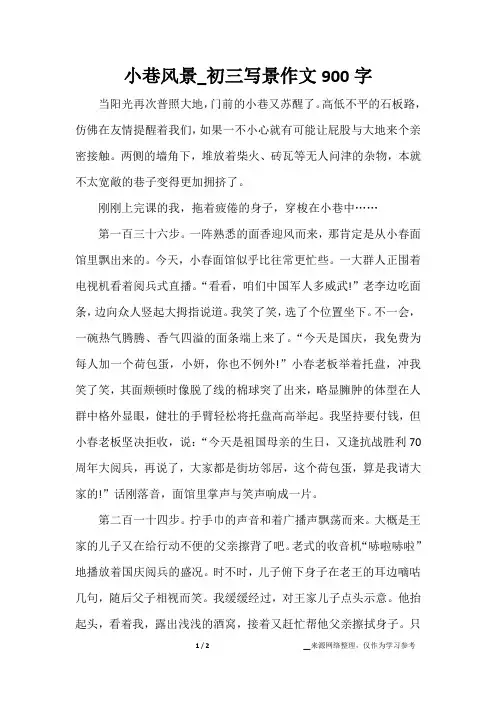 小巷风景_初三写景作文900字