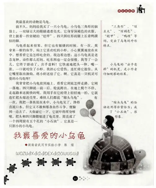我最喜爱的小乌龟