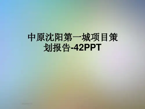 中原沈阳第一城项目策划报告-42PPT
