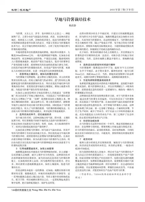 旱地马铃薯栽培技术