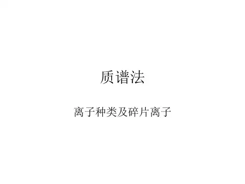 质谱常见离子解析