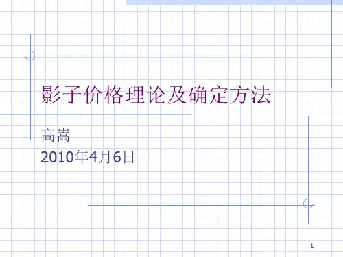 影子价格理论及确定方法(课堂PPT)