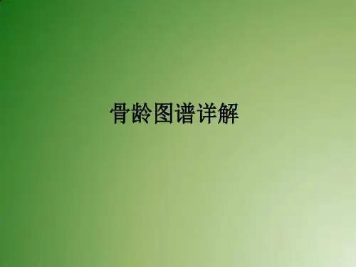 骨龄图谱详解-膝关节骨龄对照图谱56页PPT