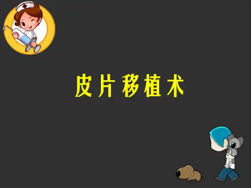 皮片移植ppt课件