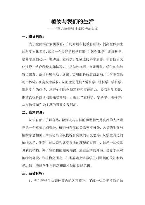小学科技实践活动方案
