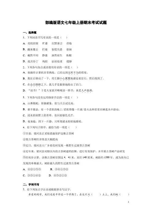 部编版语文七年级上册期末考试试卷含答案